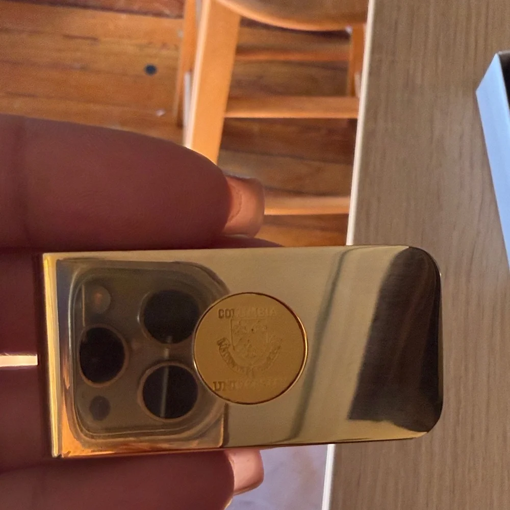 Gold Money Clip